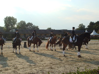 Le Comité Départemental d'Equitation 57 : 